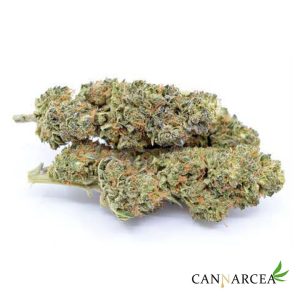 Flores CBD - Skywalker